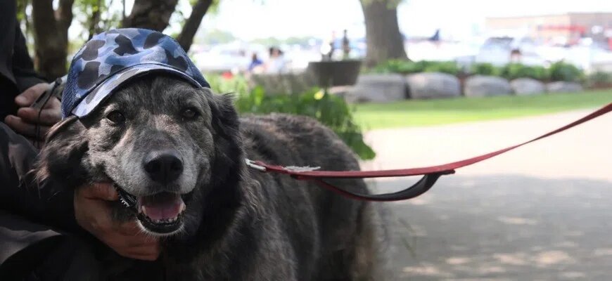 © Chara Che/Toronto Observer