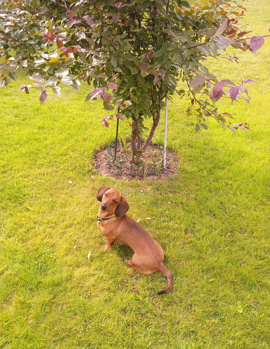 Невозможно не влюбиться! (Алиска)