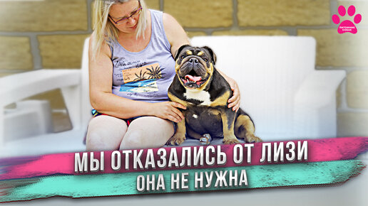 Решили, что эта собака нам не нужна! Кинг стал мужчиной... Дважды! Вива вот-вот родит!