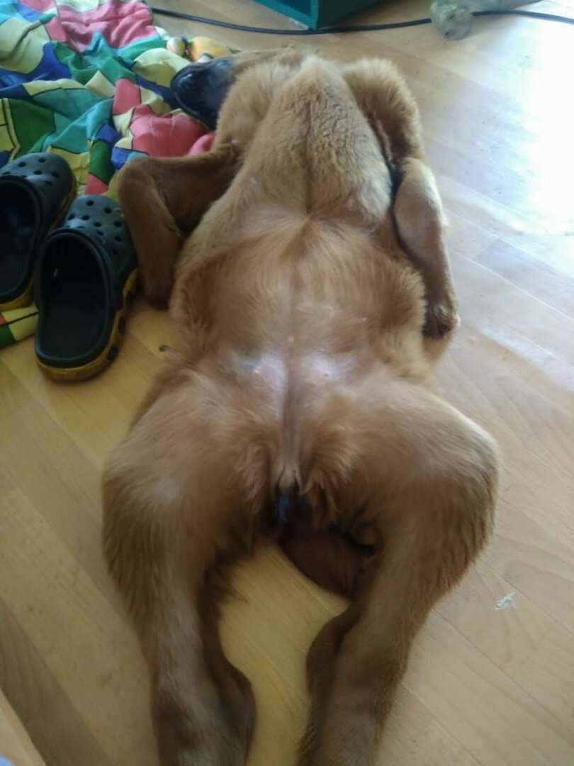 Наследие Веков Беатрис