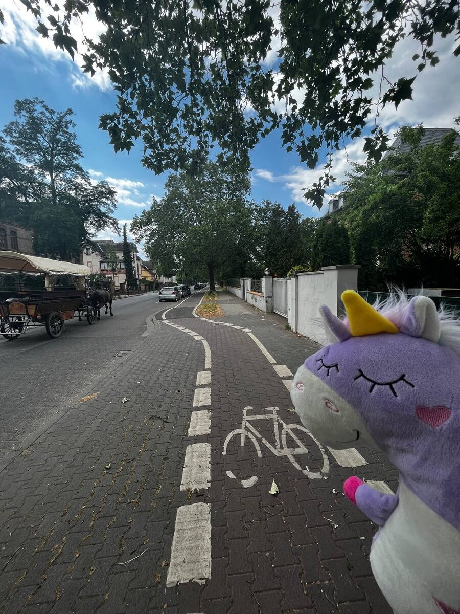 Здесь тот случай, когда знак очевидный. Однако нюанс в том, что при отсутствии такой разметки ехать можно только по дороге - на тротуар ни-ни. А вот гужевому транспорту, как видим, все позволено)