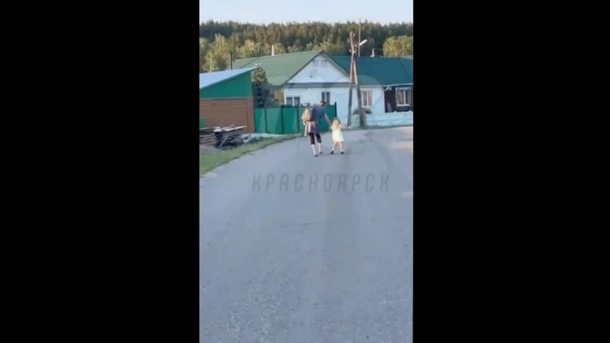     Красноярка силой увела ребенка с дороги. По словам очевидцев, она была пьяна.