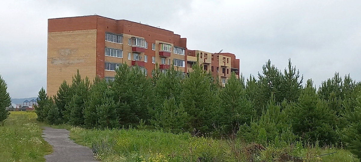 Наш многострадальный дом