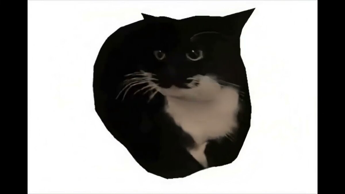 Максвелл кот. Кот крутится. Черный кот вращается. Вращающийся кот.