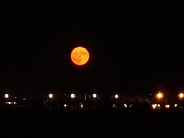 Луна в ростове. Кровавая Луна. Красная Луна. Суперлуние. Кровавое суперлуние.