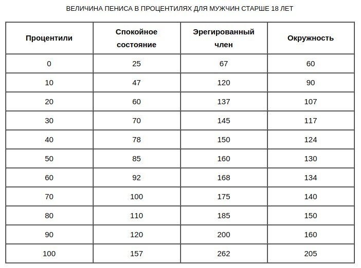 Размер полового члена человека — Википедия