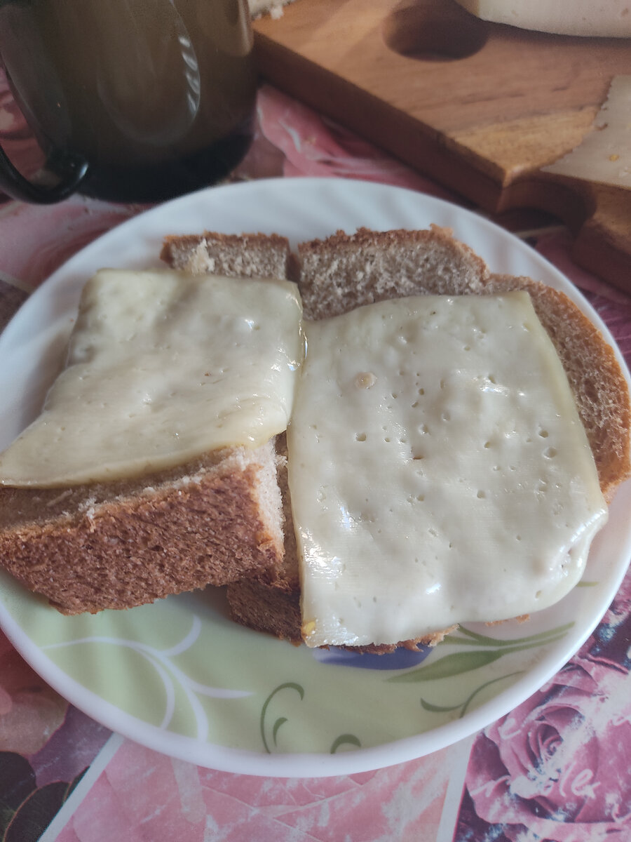 Завтраки начинаем с сыра Великолепная Каччота с пажитником к завтраку. Прекрасно подходит для горячих бутербродов.  #сыр #козийсыр #варимсыр #каччота #люблюсыр #мальковскоеподворье-2