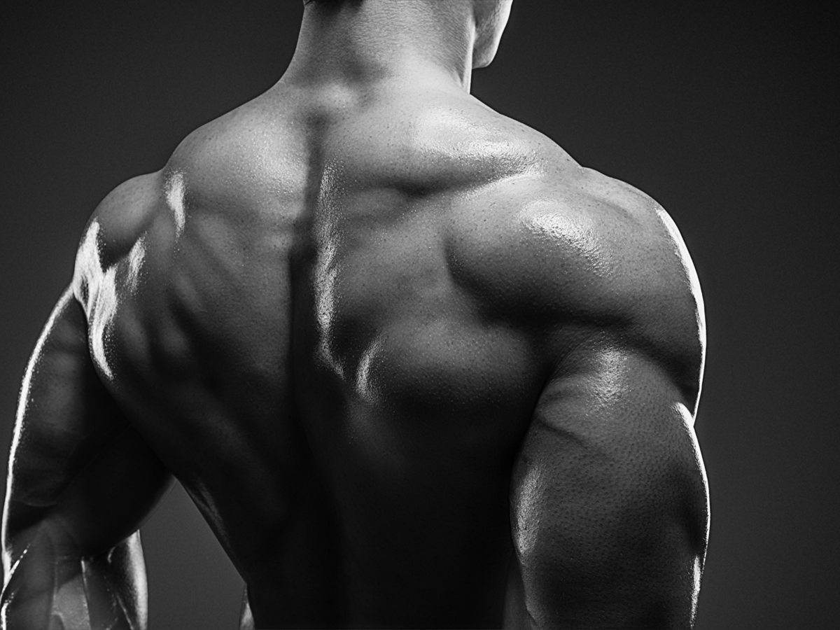 Источник фотографии: Яндекс картинки 
