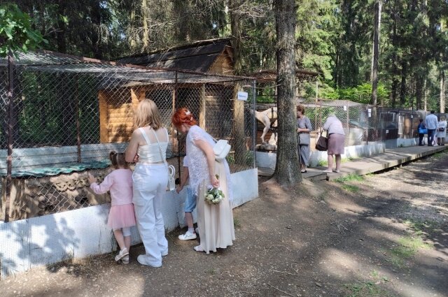    Фото из личного архива Тамары Цоцория