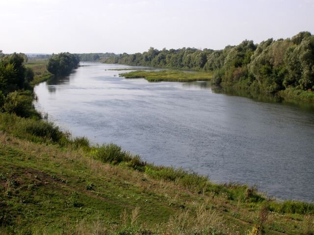Старый Турмышский брод у деревни Мочилки Лебедянского района. Вид на Красивую Мечу с точки 11-й сторожи.
