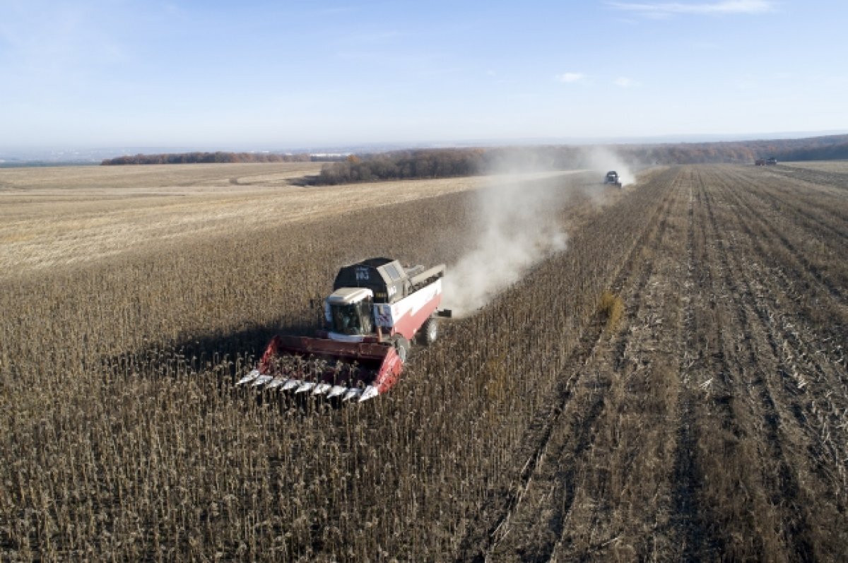    Ингушетия лидирует в СКФО по росту объёма продукции сельского хозяйства