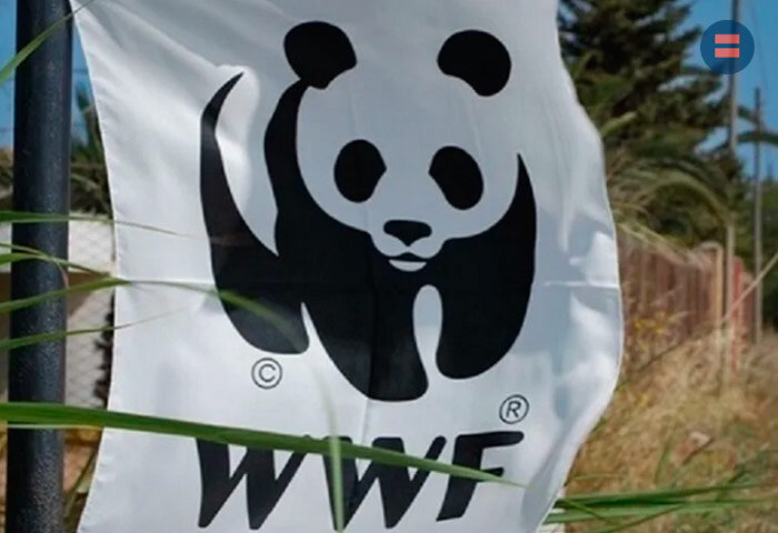 Минюст внес WWF* в перечень нежелательных организаций