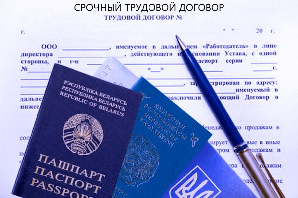 Фото Трудовой договор - Андреева Татьяна