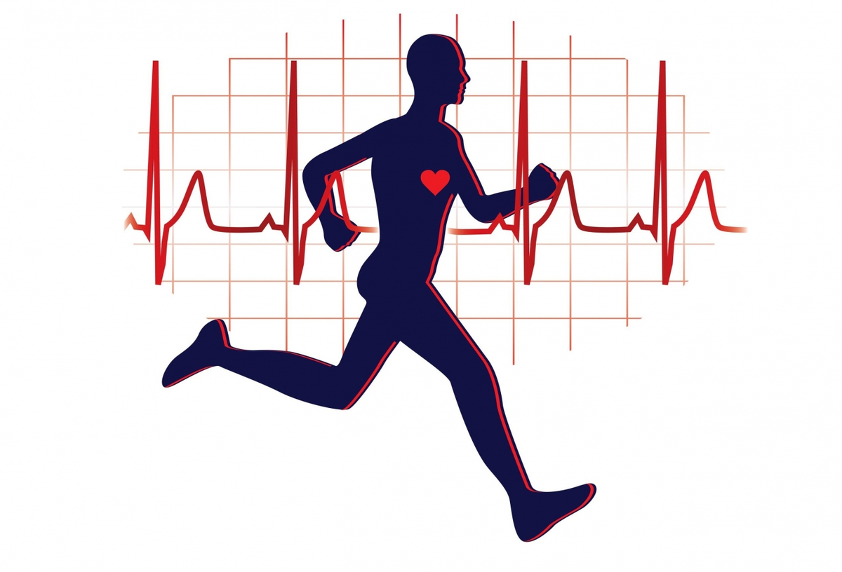 Какой спорт для сердца. Удары сердца у спортсменов. Какой спорт лучший для миокарда.