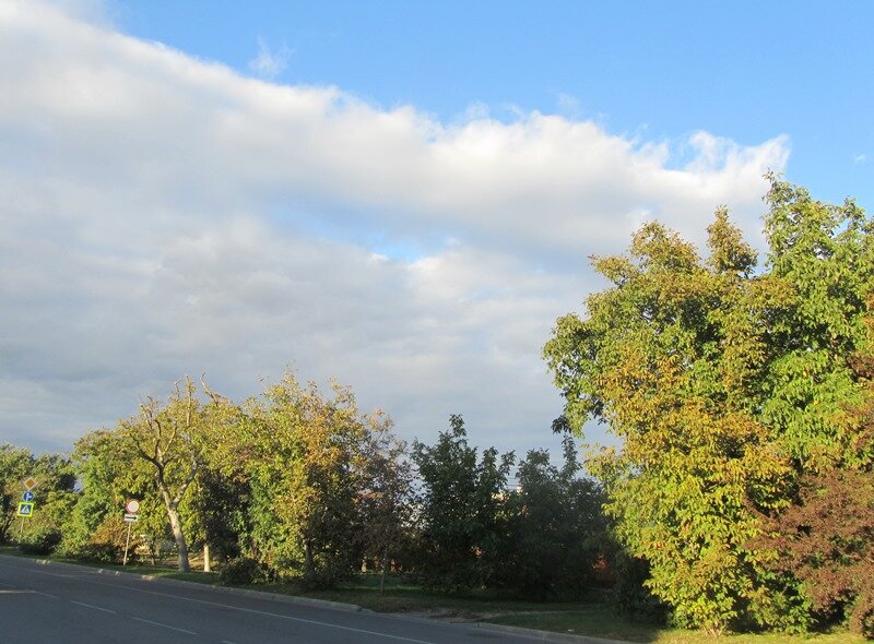 Одна из улиц города. Район ХБК.  