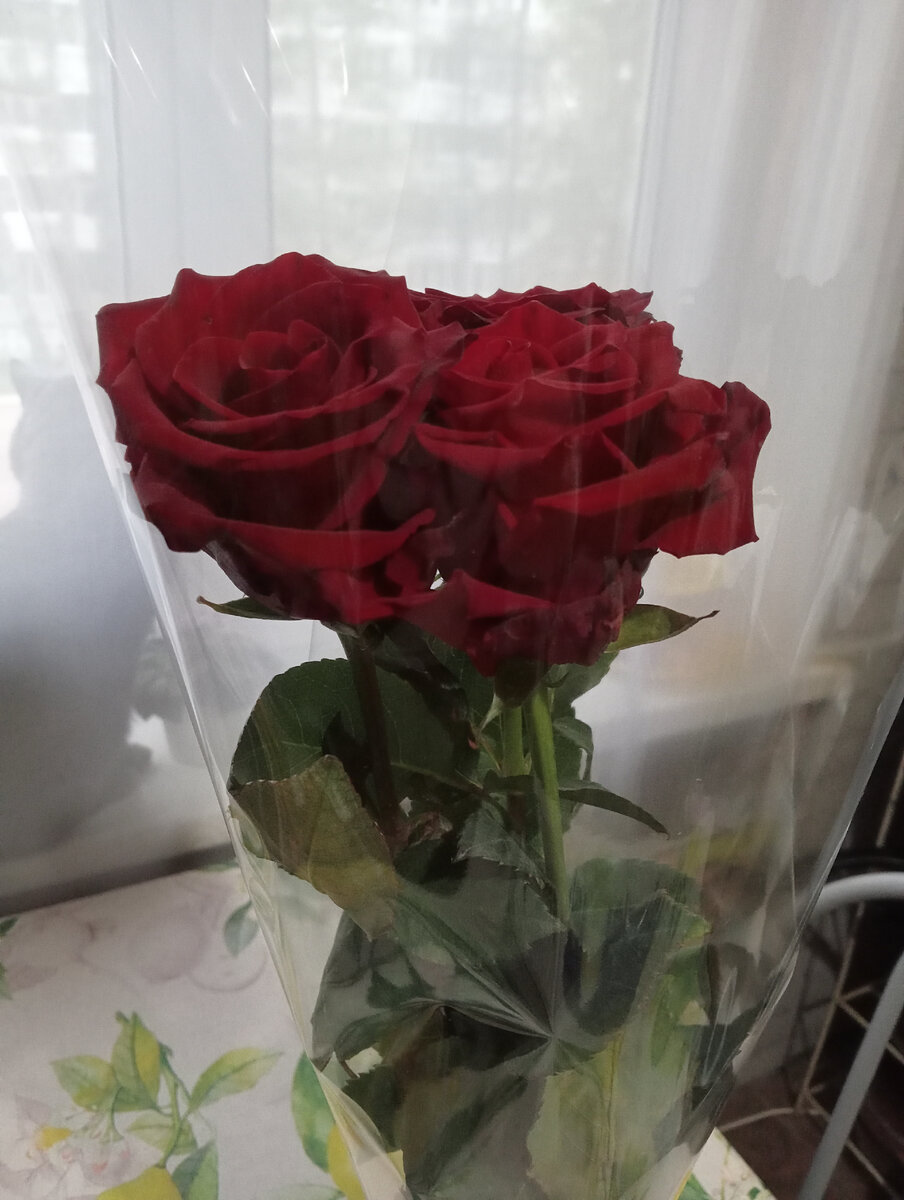 Фото моё. Цветы от любимого мужа