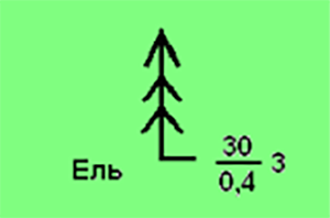 как обозначается хвойный лес