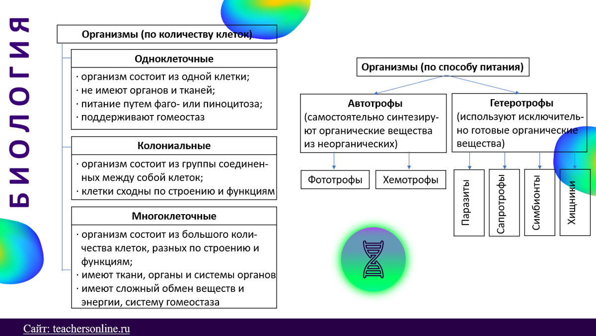 Т.А. РАБОТНОВ. О биогеоценозах