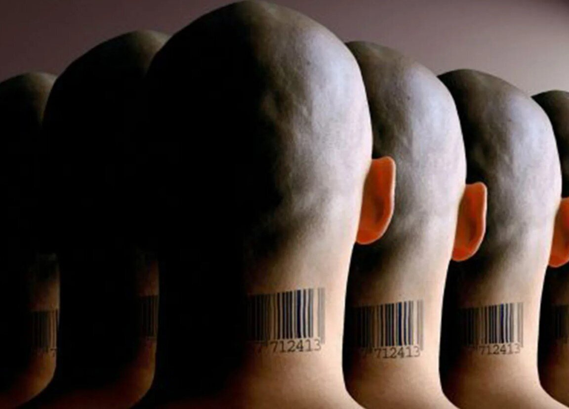 Фото: kvb.by, фото может носить иллюстрационный характер, Клонирование: достижение науки или преступление против человека?