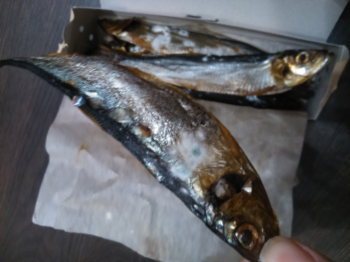 Источник фото: https://progorod43.ru/news/43232