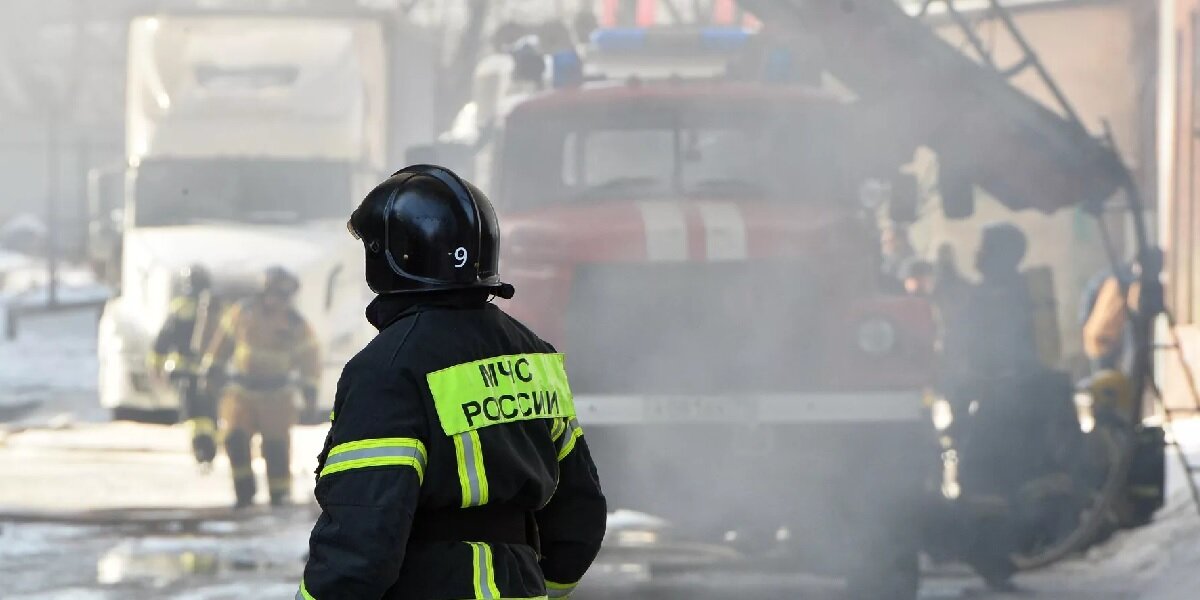 Фото: РИА «Новости» (https://cdnn21.img.ria.ru/images/07e4/02/0e/1564776647_0:158:3077:1889_1920x0_80_0_0_67e6d0776c39a1fe8912485064e826b5.jpg.webp)