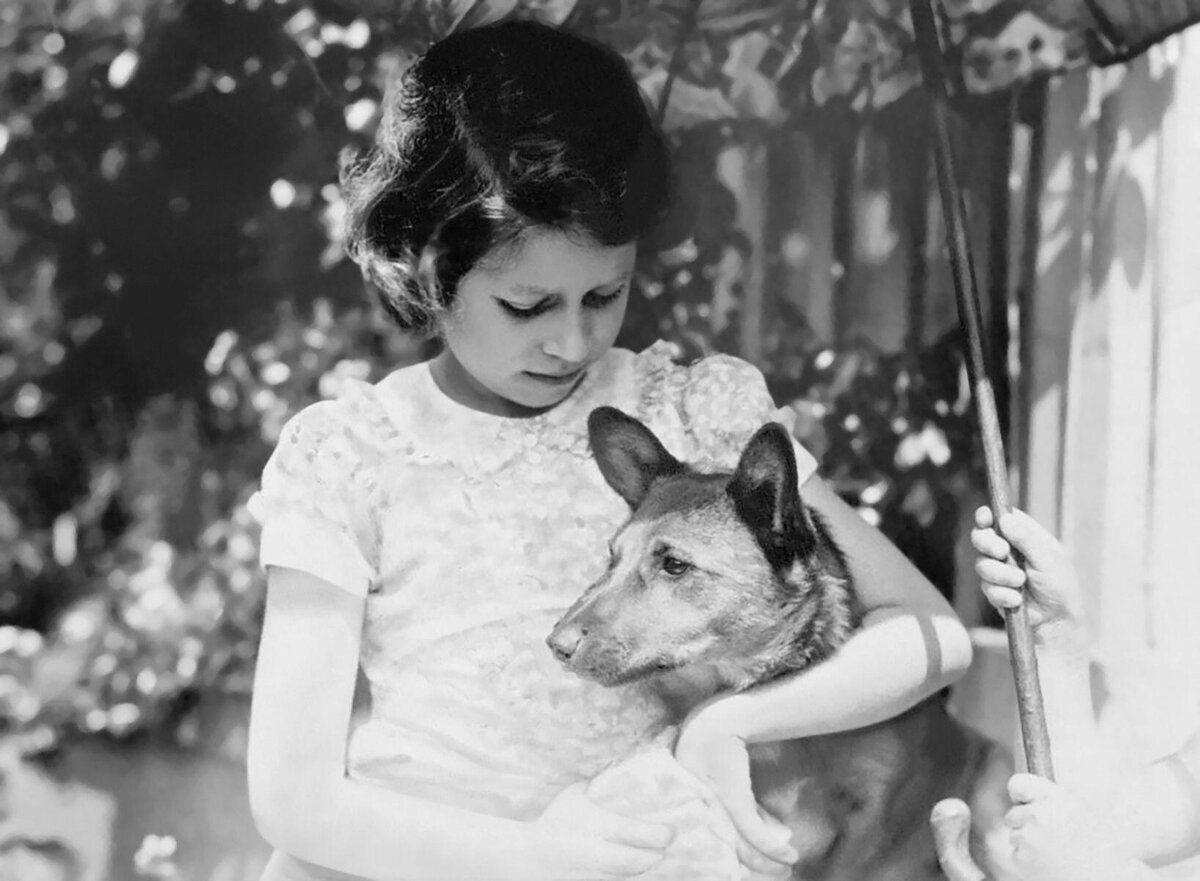    Один из самых первых снимков принцессы Елизаветы с коргиlegion-media