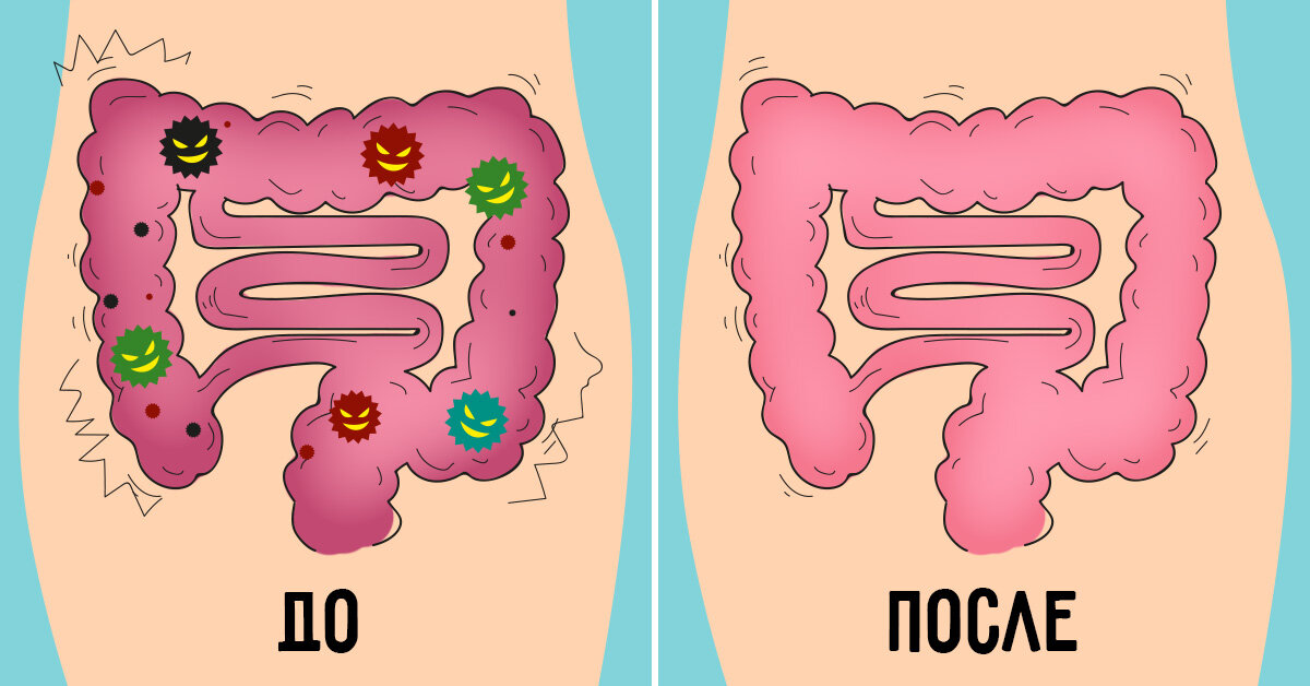 Очищение организма кишечник