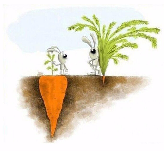 Картинка с просторов Интернета.