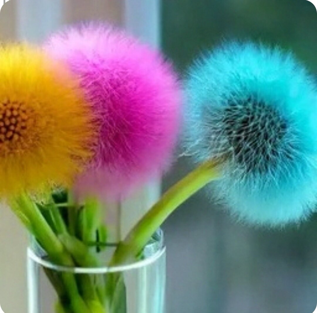 Фото сгенерировано нейросетью Шедеврум