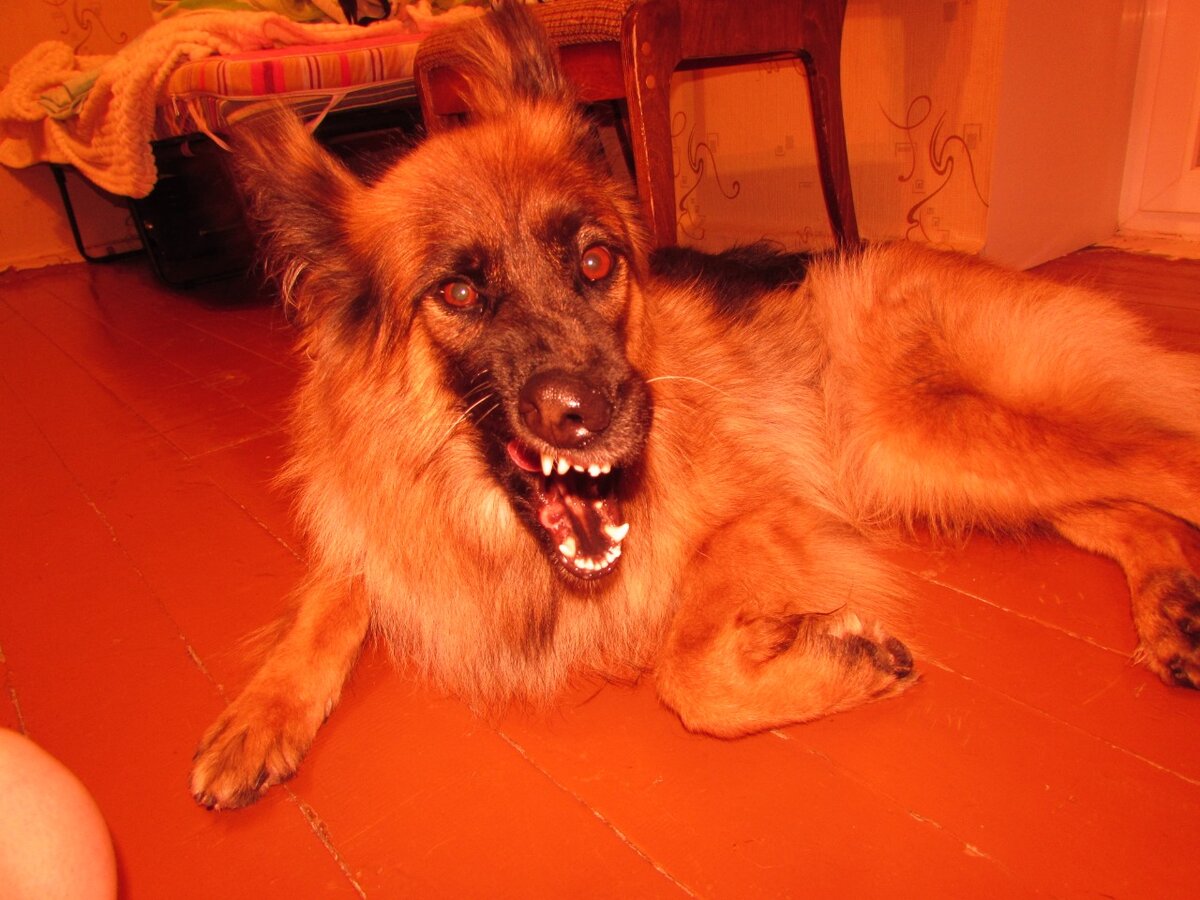 Злая Эльзочка позирует