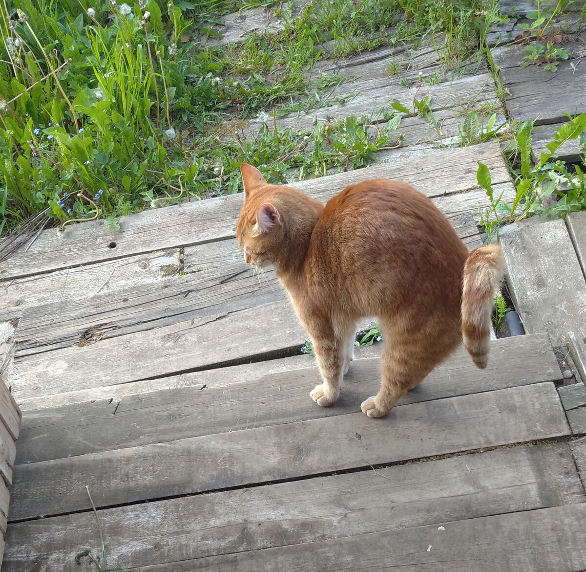 Личное  фото.