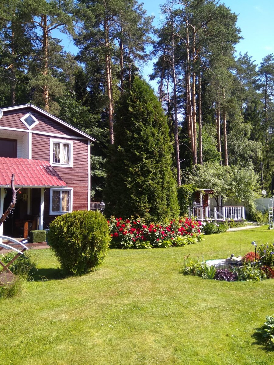 фото красоты