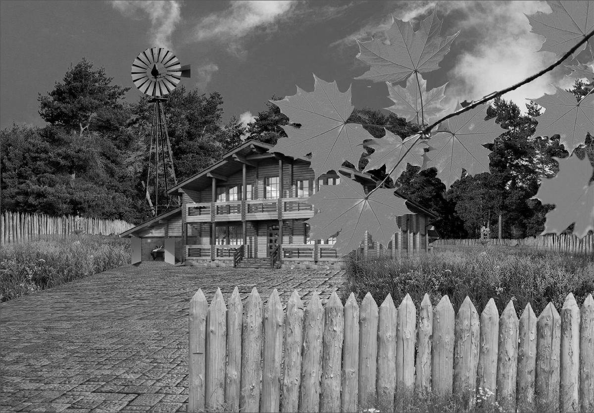 К середине осени строительство дома было завершено и осенние травы очень быстро укрыли цветистым одеялом развороченную техникой землю.