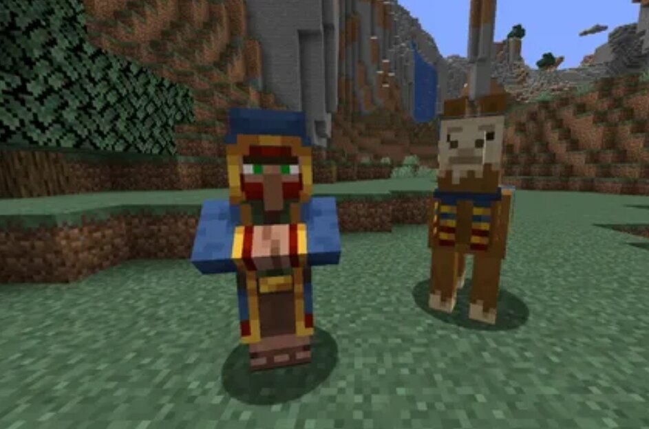 Фото из открытых источников