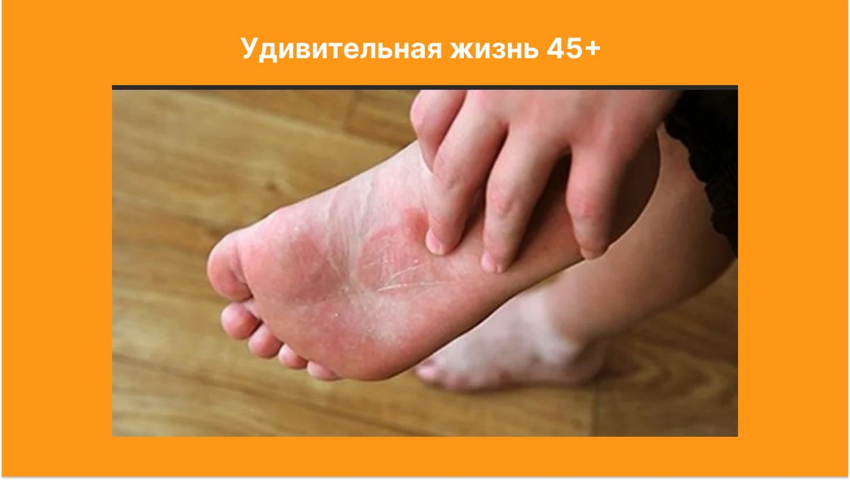 Фотография взята из открытых источников