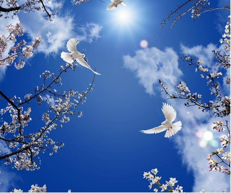 ... лети в мой сад, Голубка...