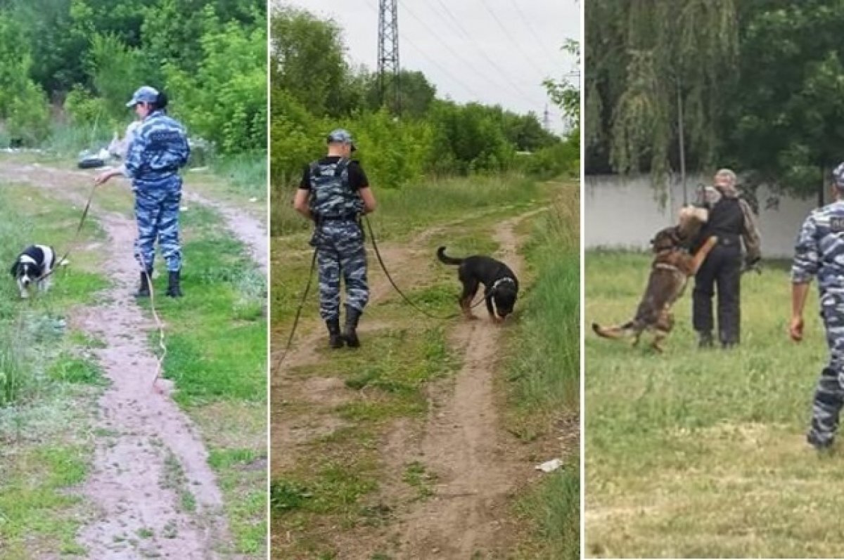    В Самарской области прошли соревнования полицейских-кинологов