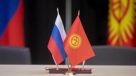    Мишустин видит большой потенциал в развитии российско-киргизских проектов Дарья Смирнова
