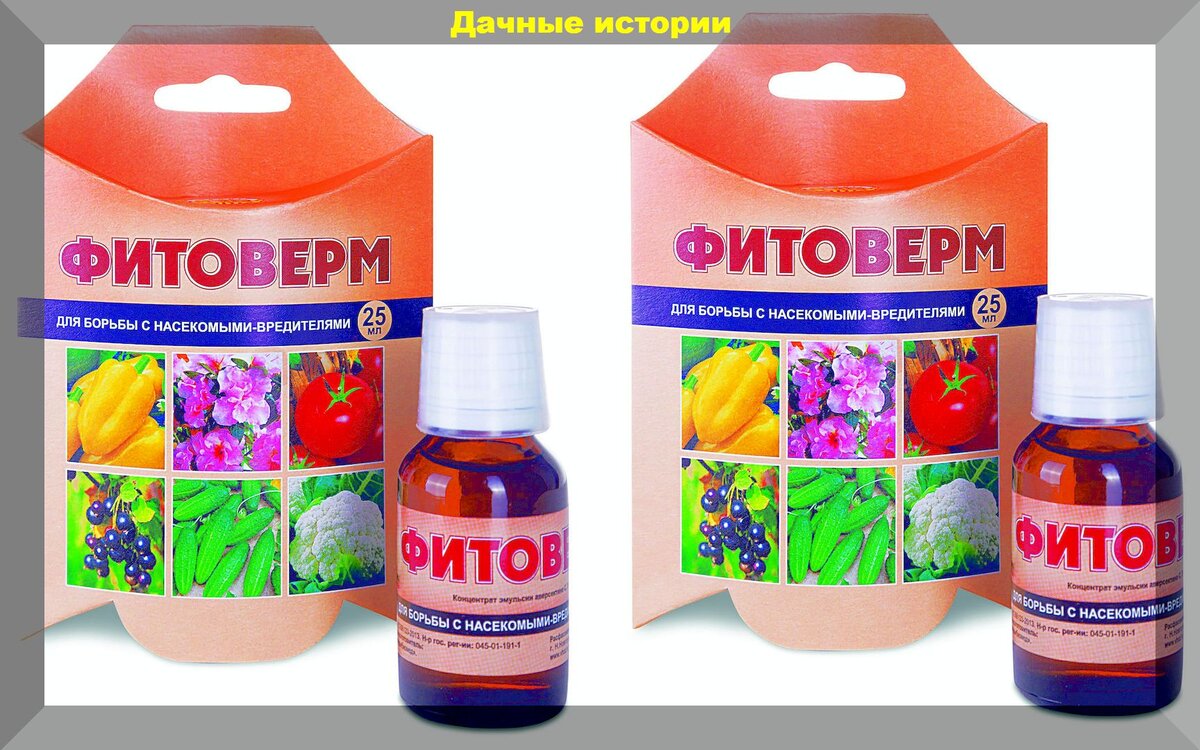 https://vk.com/photo-159774511_457261136