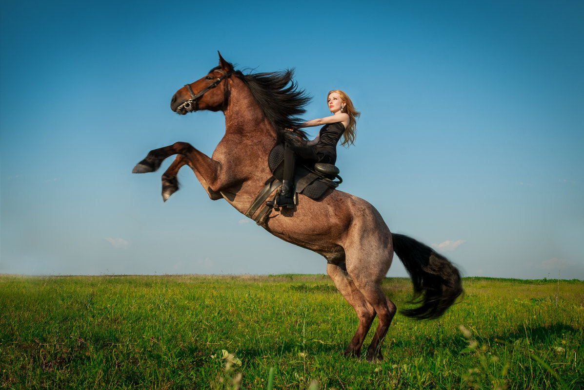 Человек поднимающий лошадь. Конь. Фотосессия с лошадьми. Конь на дыбах. Девушка на лошади на дыбах.