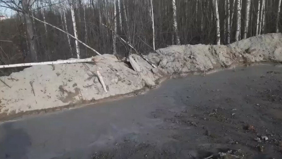     Ижевская компания сливала в лесу на Воткинском шоссе бетон в лесу. Теперь она заплатит 39 млн рублей штрафа, сообщила пресс-служба минприроды Удмуртии.