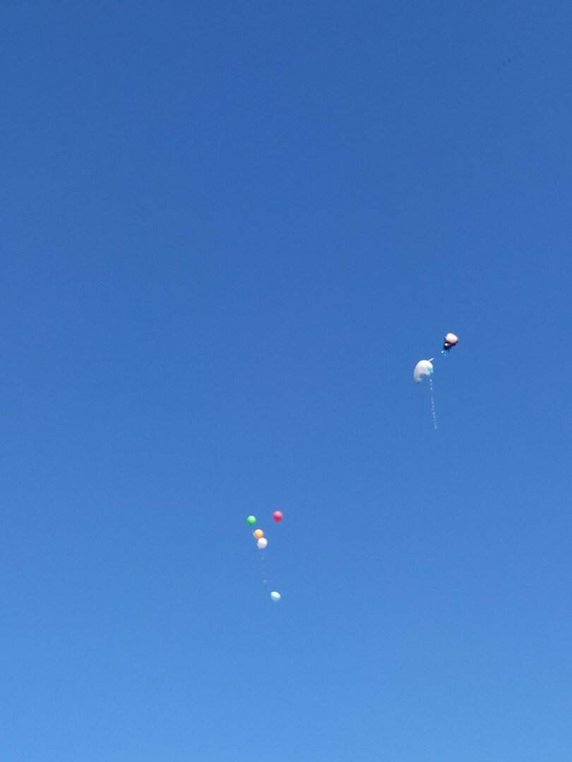 А вам жалко улетающих шариков? Я всегда думаю, сколько это денег в буквальном смысле на ветер пускаются.