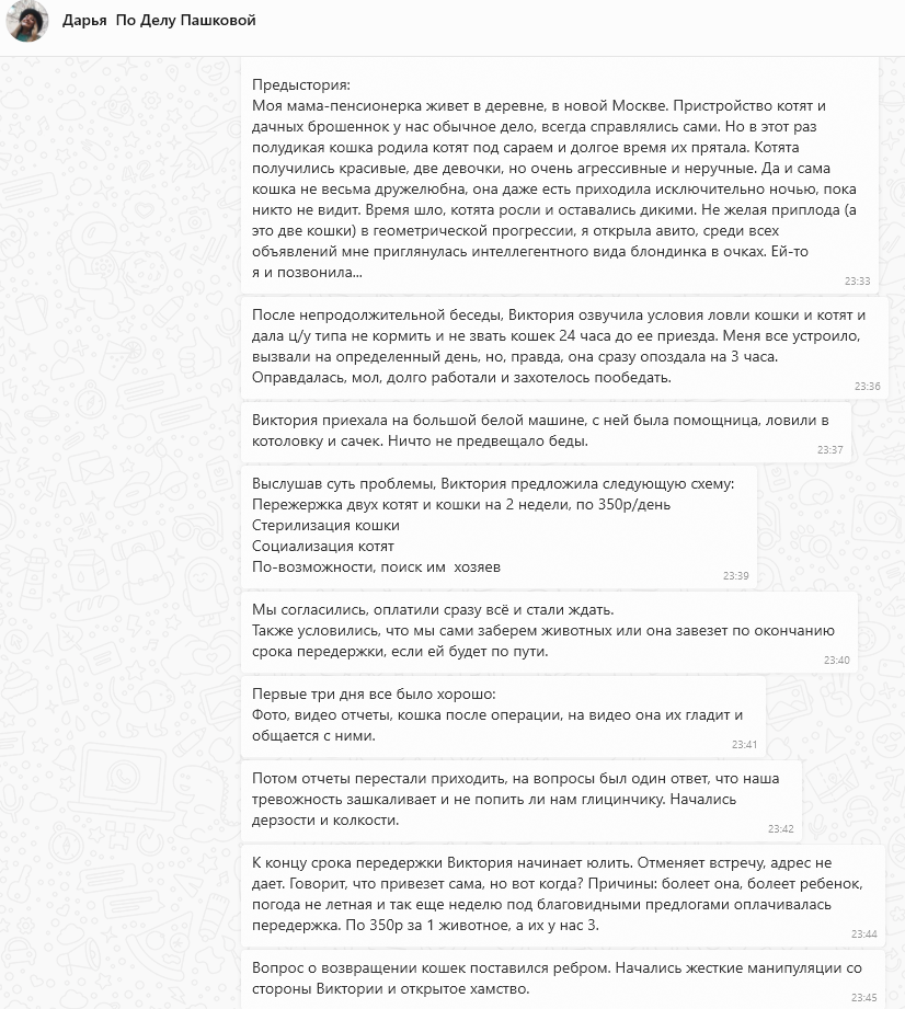 Кошачья чумка – визитная карточка Пашковой