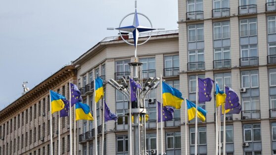    В МИД Италии заявили, что на саммите НАТО определят путь вступления Украины в Альянс Алина Городниченко