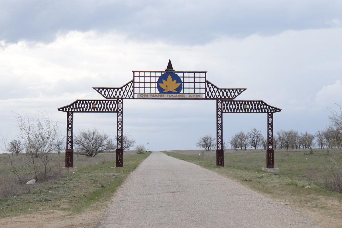По дороге в Калмыкию. За фото спасибо Green Spirit. Адрес блога в ВК https://vk.com/midori_no_mori. Что бы увидеть больше фото, листайте карусель. 