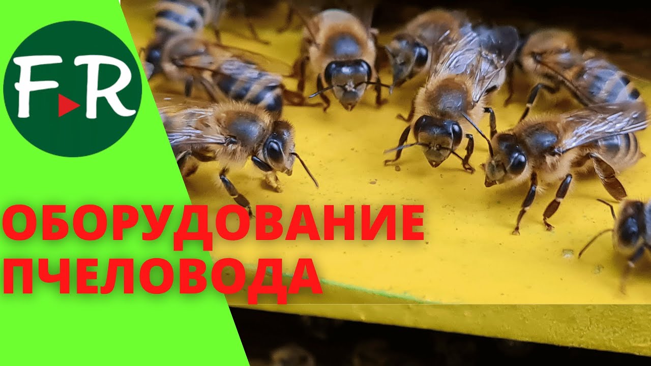 Как устроен омшанник? Что такое сотохранилище? Зачем нужна солнечная  воскотопка? Советы пчеловодам