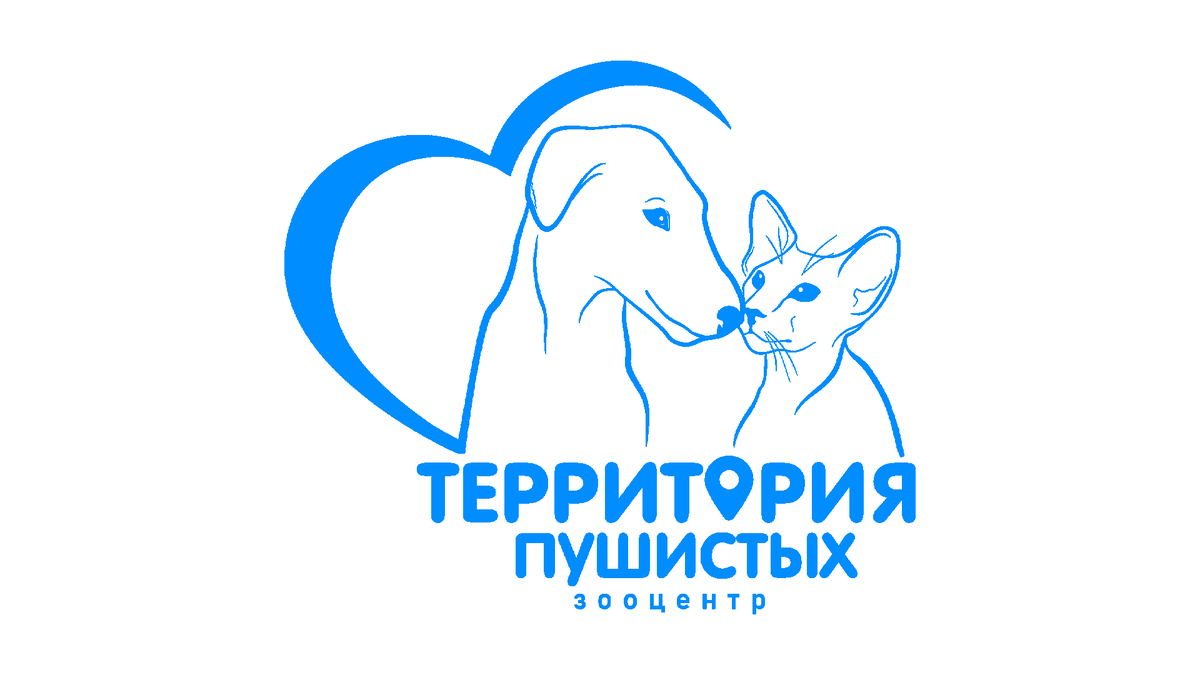 Территория Пушистых | Стрижка собак и кошек | https://all-for-pet.ru/