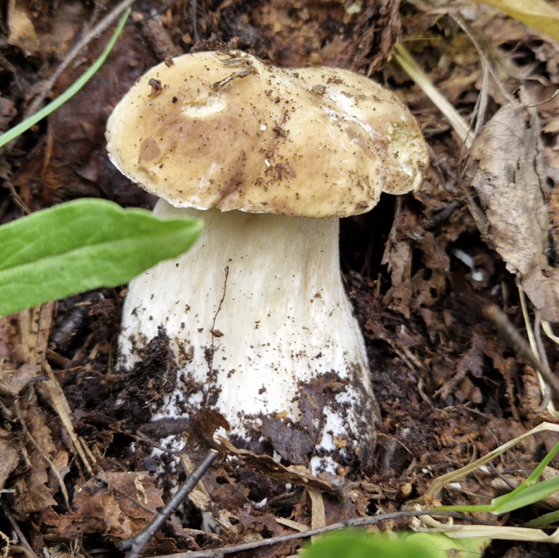 Фото Елены Кострома