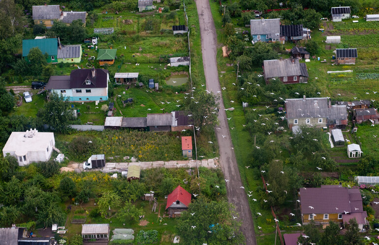 Фото: Baltphoto/ Павел Долганов