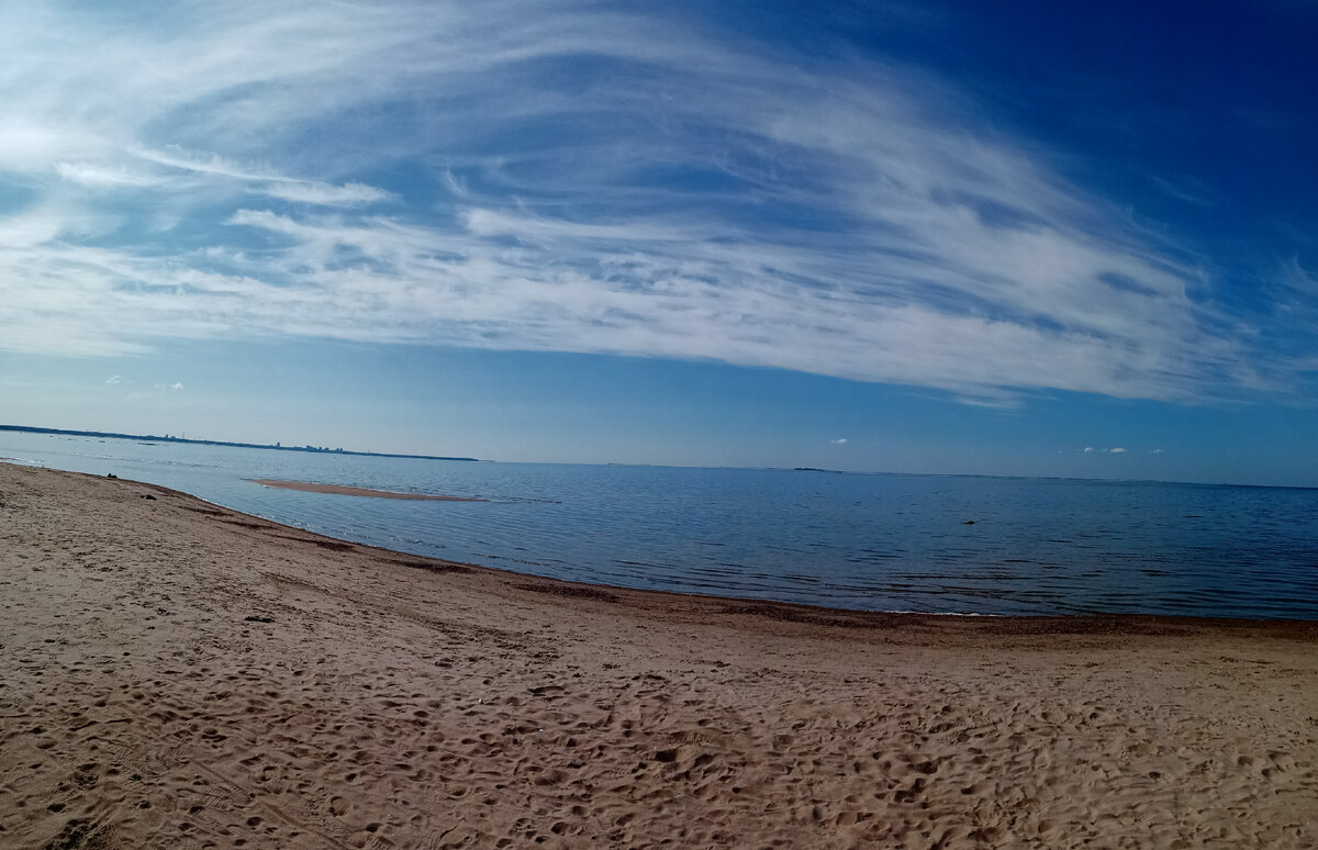 Любовная любовь. Фото автора